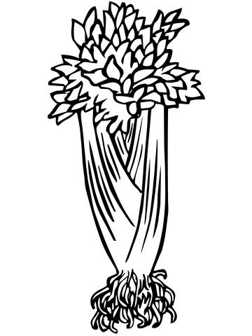 Celery Brush Coloring Page